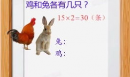 鸡兔同笼教学视频,视频教学带你轻松掌握数学思维